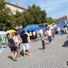 Bild: 2019-07-20_dessau_marktplatz_012.jpg